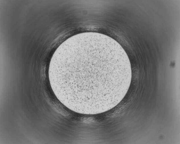 X0000116780262201001281128