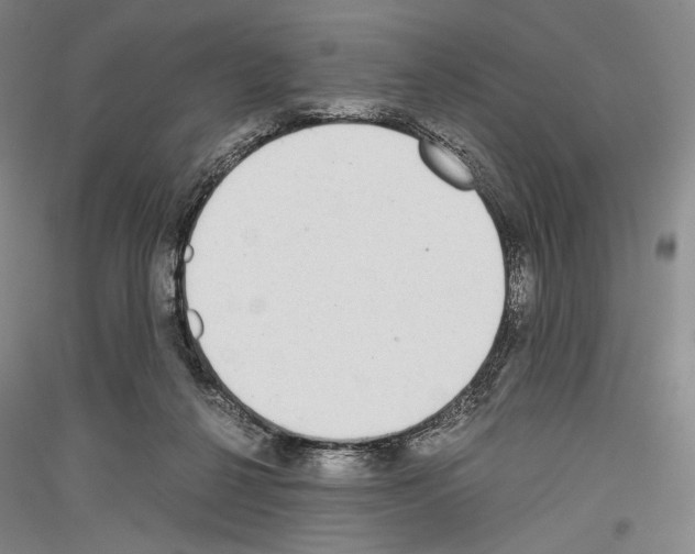 X0000116780264201001281128