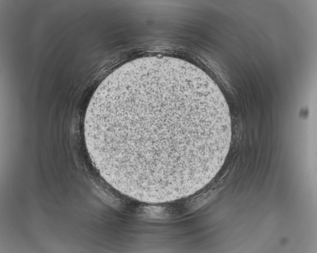 X0000116780265201001281128