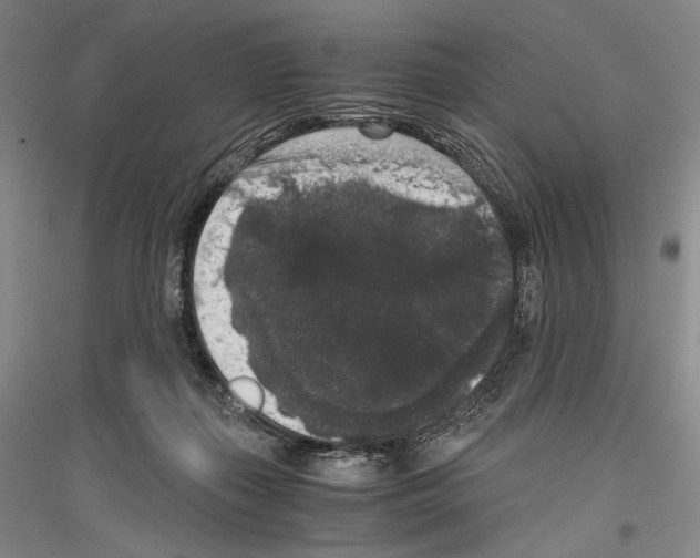 X0000116780267201001281128