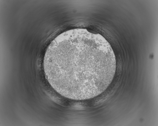 X0000116780268201001281128