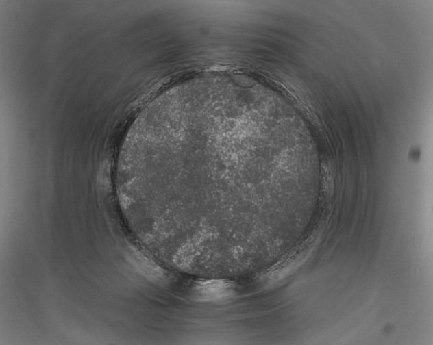 X0000116780269201001281128