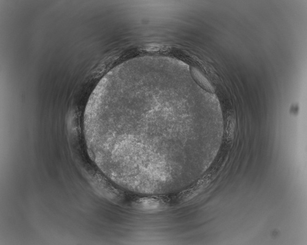 X0000116780272201001281128