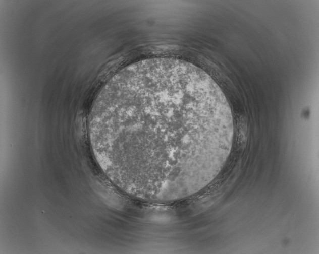 X0000116780276201001281128