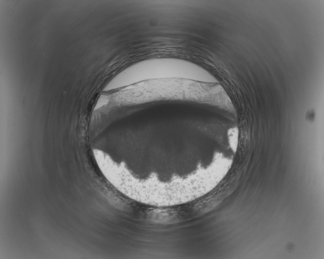 X0000116780277201001281128