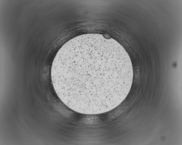 X0000116780278201001281128