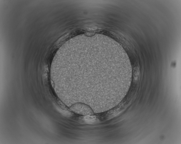 X0000116780279201001281128