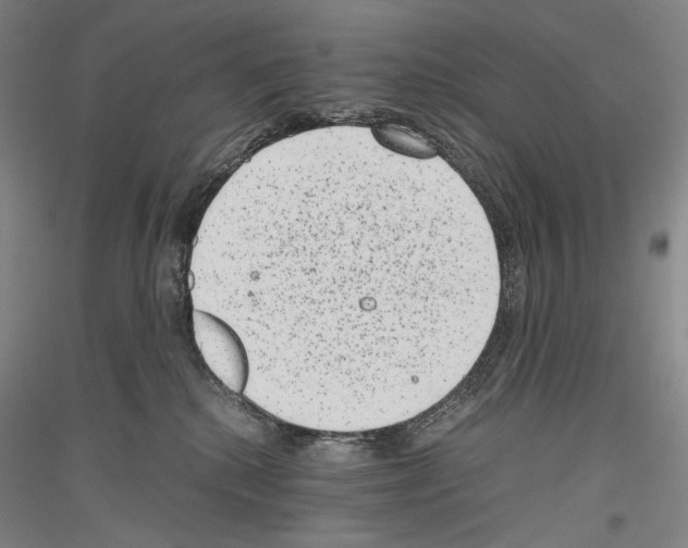 X0000116780280201001281128