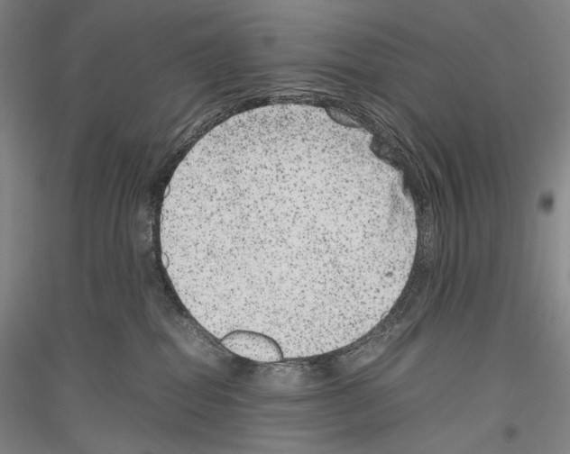 X0000116780282201001281128