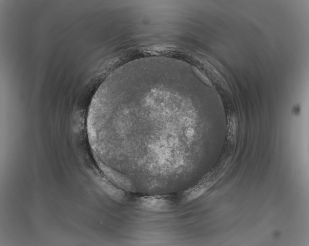 X0000116780284201001281128