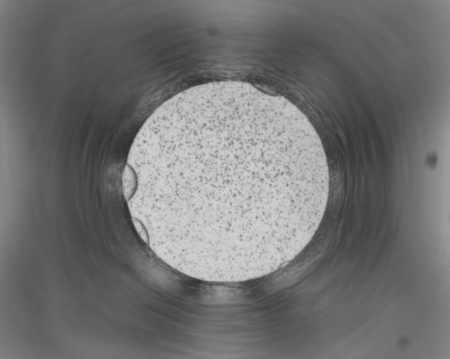 X0000116780286201001281128