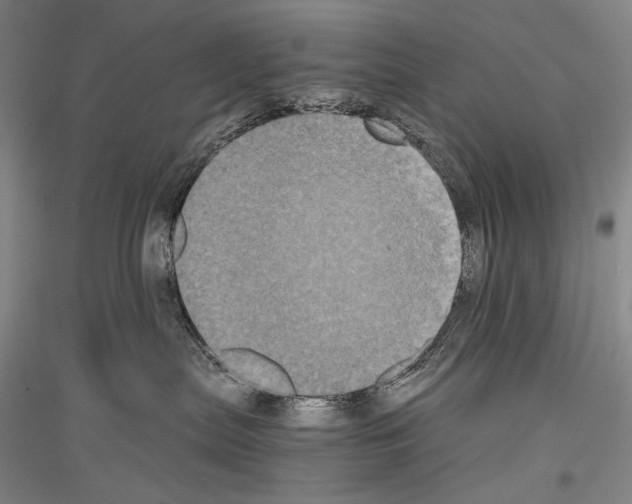 X0000116780287201001281128