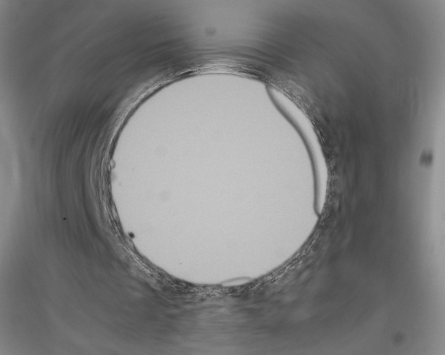 X0000116780289201001281127