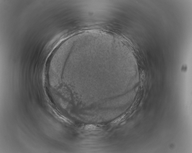 X0000116780290201001281127