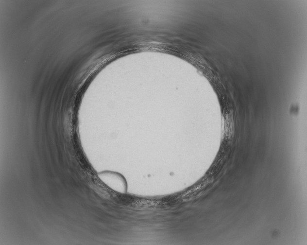 X0000116780291201001281127