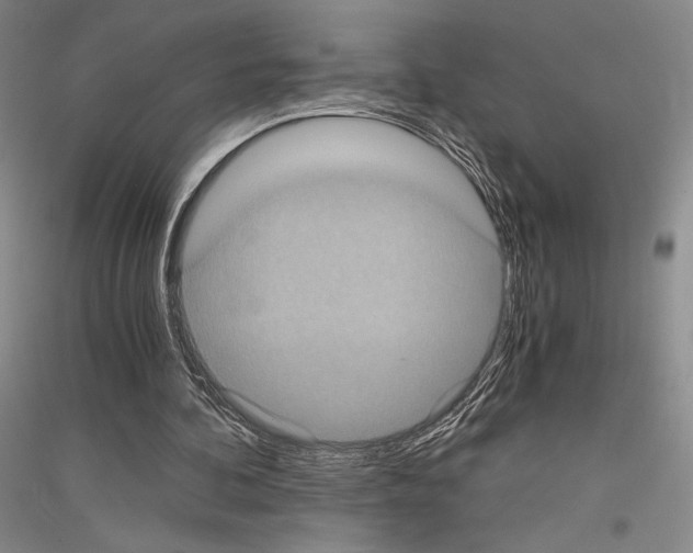 X0000116780292201001281127