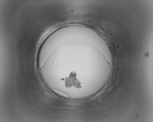 X0000116780293201001281127