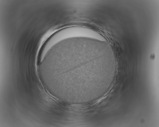 X0000116780294201001281127