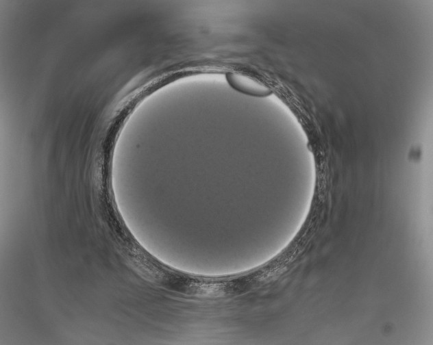 X0000116780295201001281127