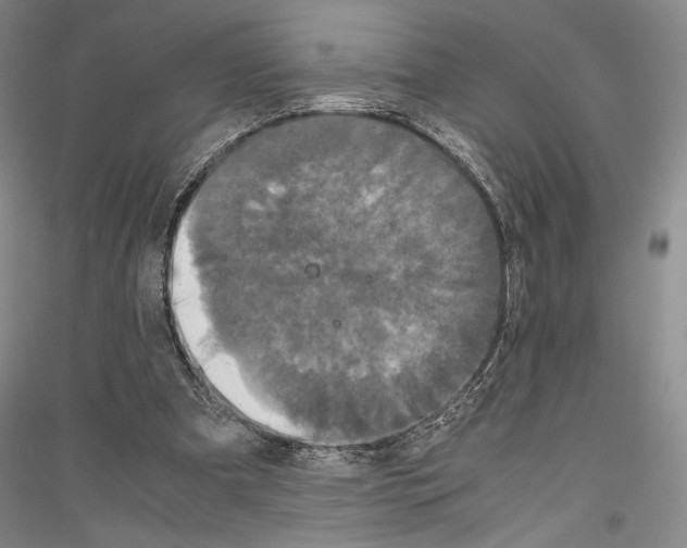 X0000116780297201001281127