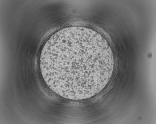 X0000116780298201001281127