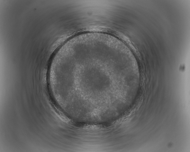 X0000116780299201001281127