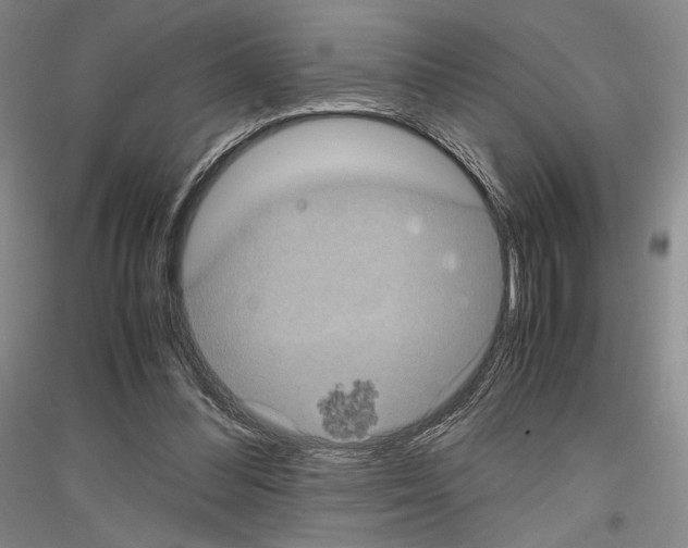 X0000116780300201001281127