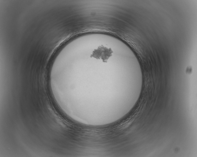 X0000116780304201001281127