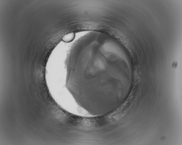 X0000116780305201001281127