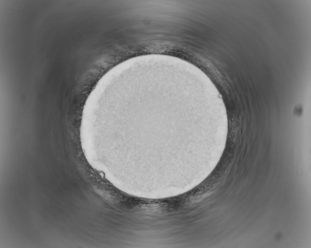 X0000116780307201001281127