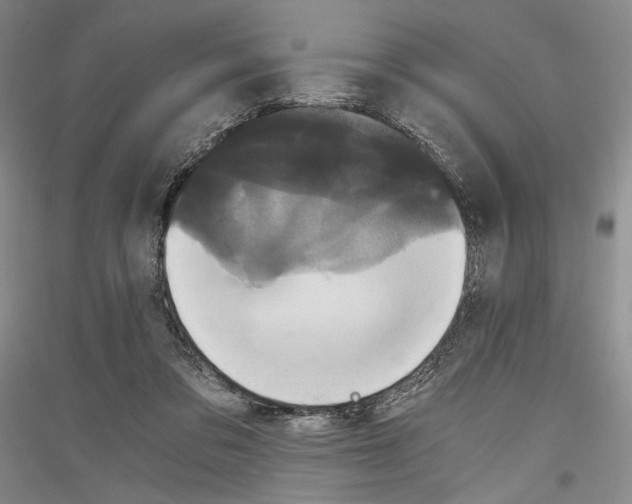 X0000116780309201001281127