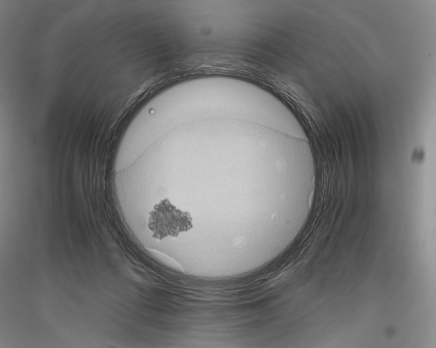 X0000116780312201001281127