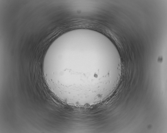 X0000116780313201001281127