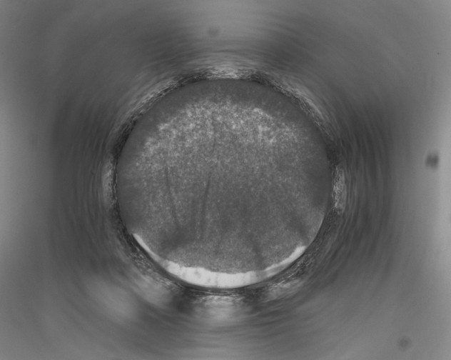 X0000116780314201001281127