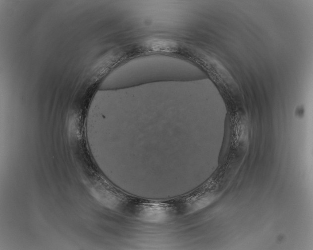 X0000116780316201001281127