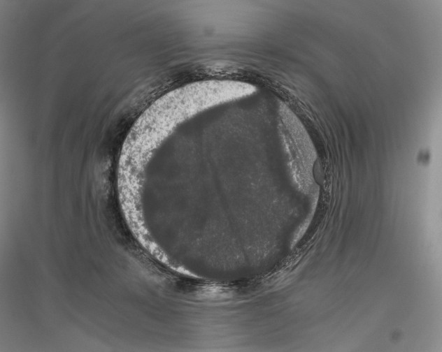 X0000116780319201001281127