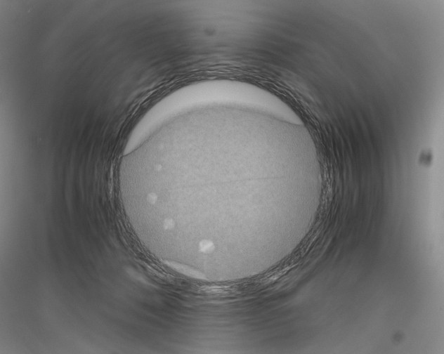 X0000116780320201001281127