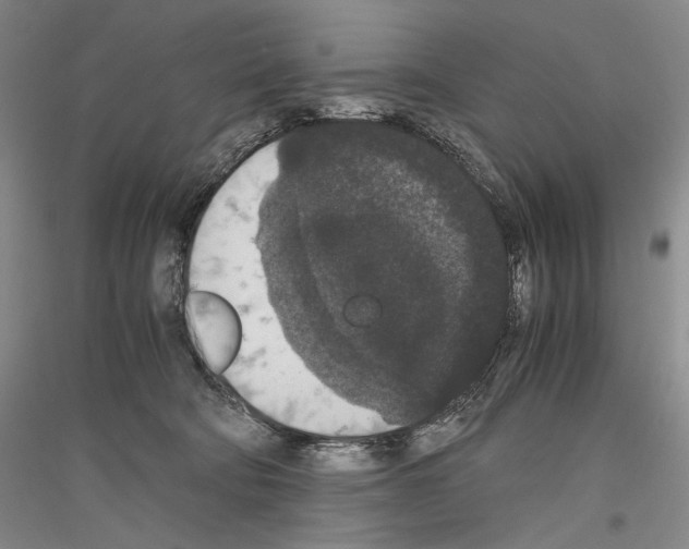 X0000116780322201001281127