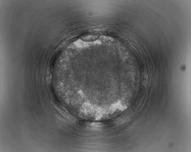 X0000116780324201001281127