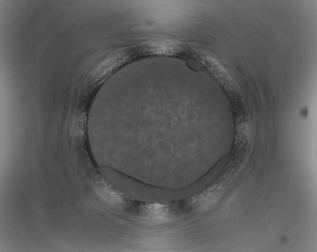 X0000116780325201001281127