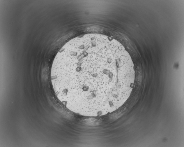 X0000116780326201001281127