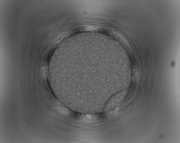 X0000116780329201001281127