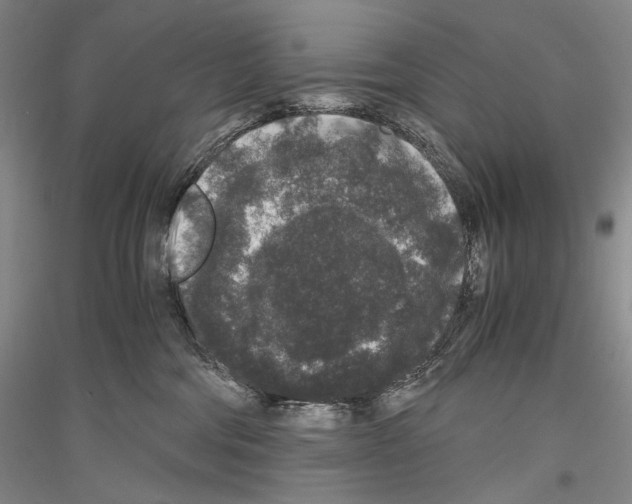 X0000116780330201001281127