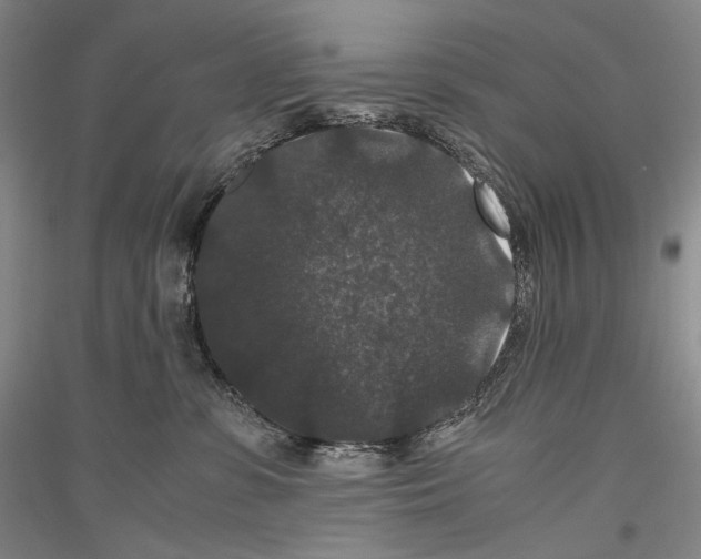 X0000116780331201001281127