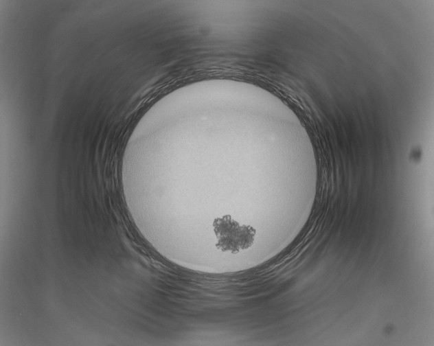 X0000116780332201001281127