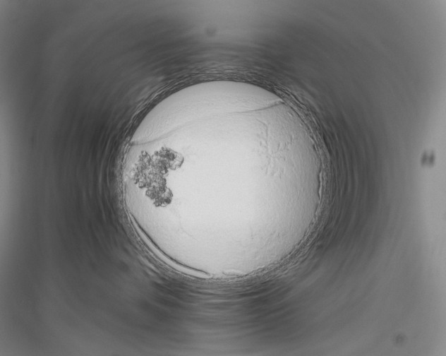 X0000116780336201001281127