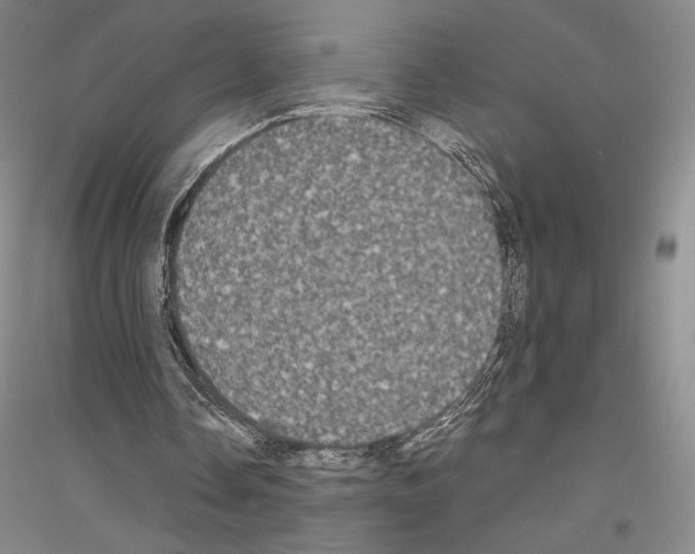 X0000116780338201001281126