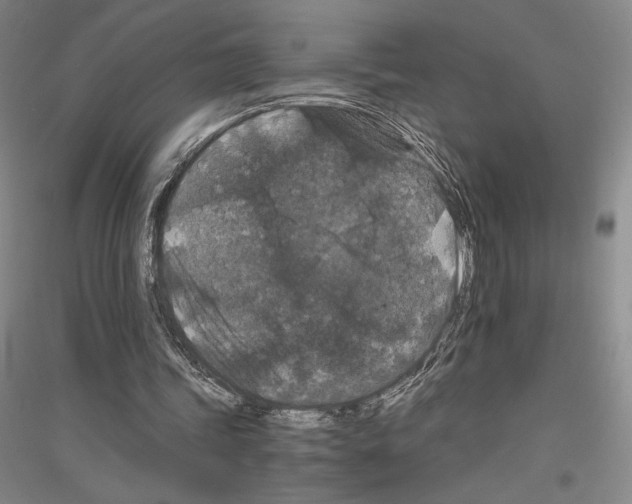 X0000116780339201001281126