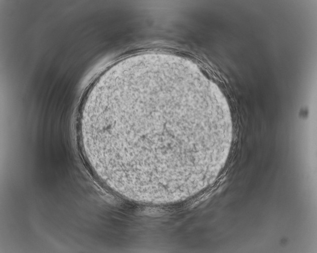 X0000116780341201001281126