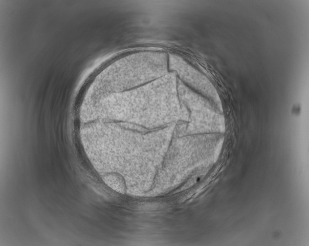 X0000116780342201001281126